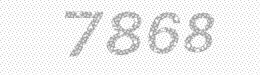 Visual security code — type the characters shown in the image